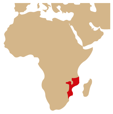 Carte-Afrique.png