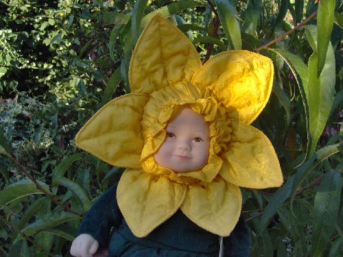 Baby Daffodils (1/3)