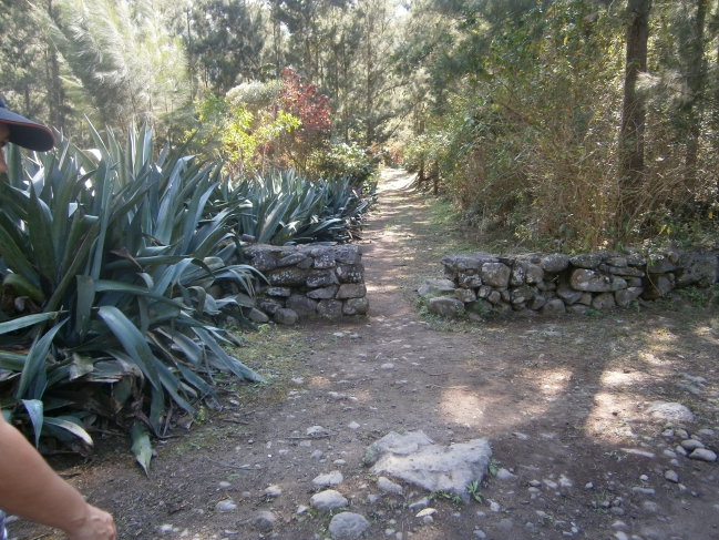 Roche Plate-5 sept 201- entrée du village.JPG