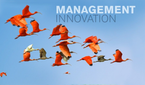 managment-innovation.jpg