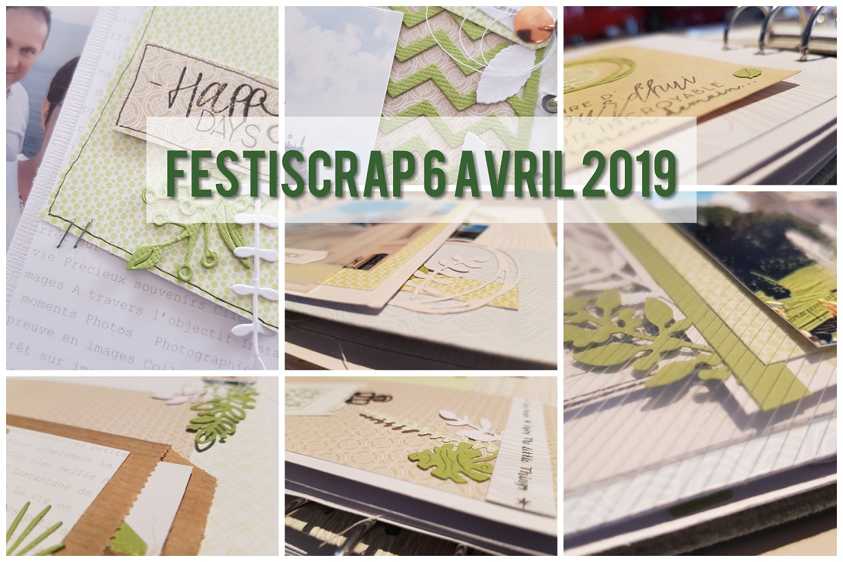 FESTISCRAP 2019 projet prov.jpg