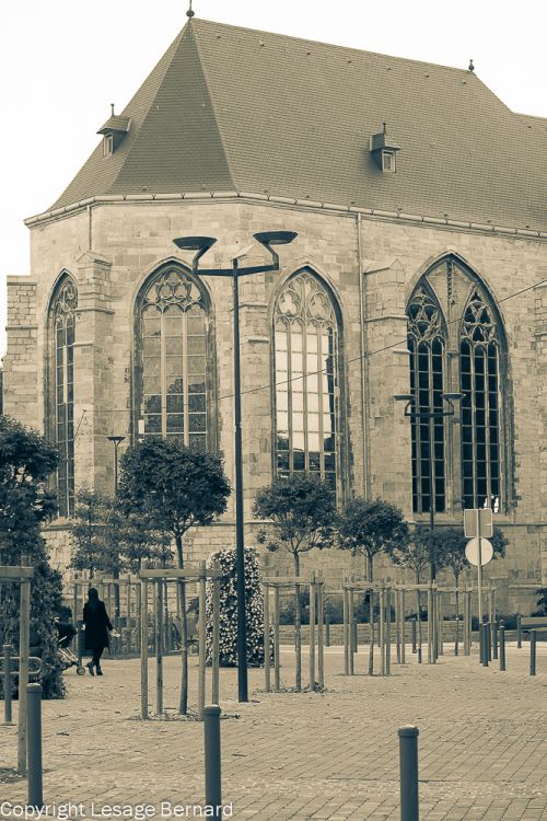 La collégiale Saint-Martin-Saint Hadelin