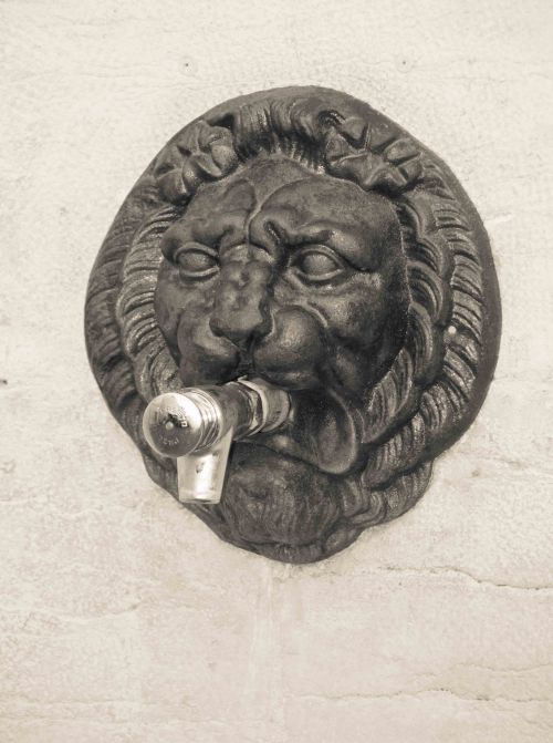 Cluny (un vrai visage humain ce lion avec bouton poussoir)