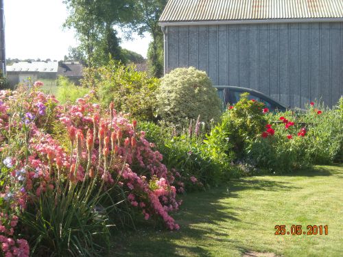 le jardin rose ferdy