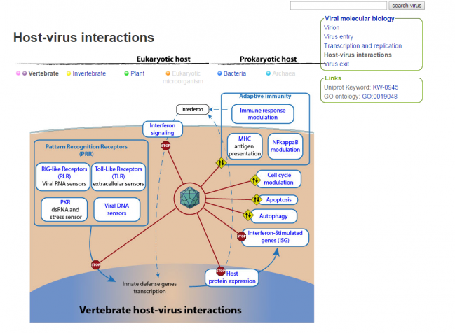 Configuration chimique du virus Sida (host virus sida).PNG