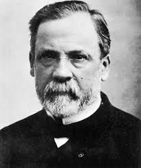 Louis Pasteur (1822 - 1895 )