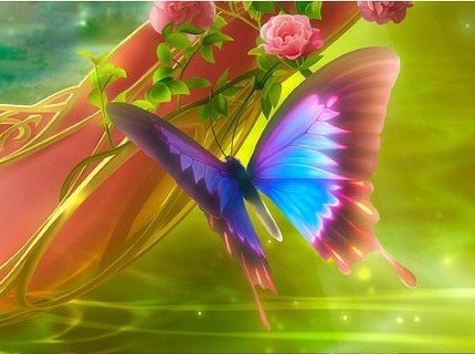 papillon et fleur.jpg