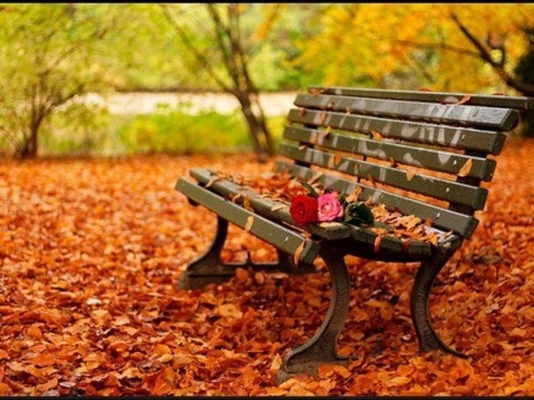 Banc fleuri en automne.jpg