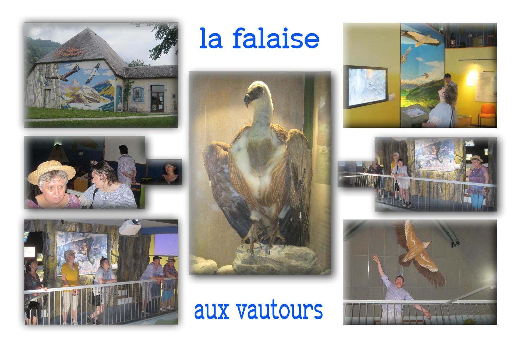 la falaise aux vautours 1.jpg