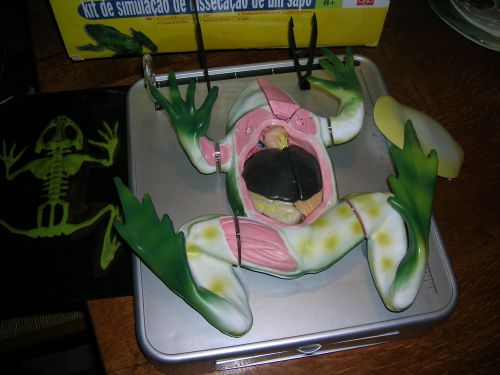 jeu de dissection anatomique d'une grenouille 1993