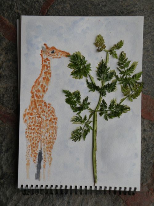 Girafe à l'aquarelle