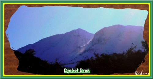 Djebel Brek