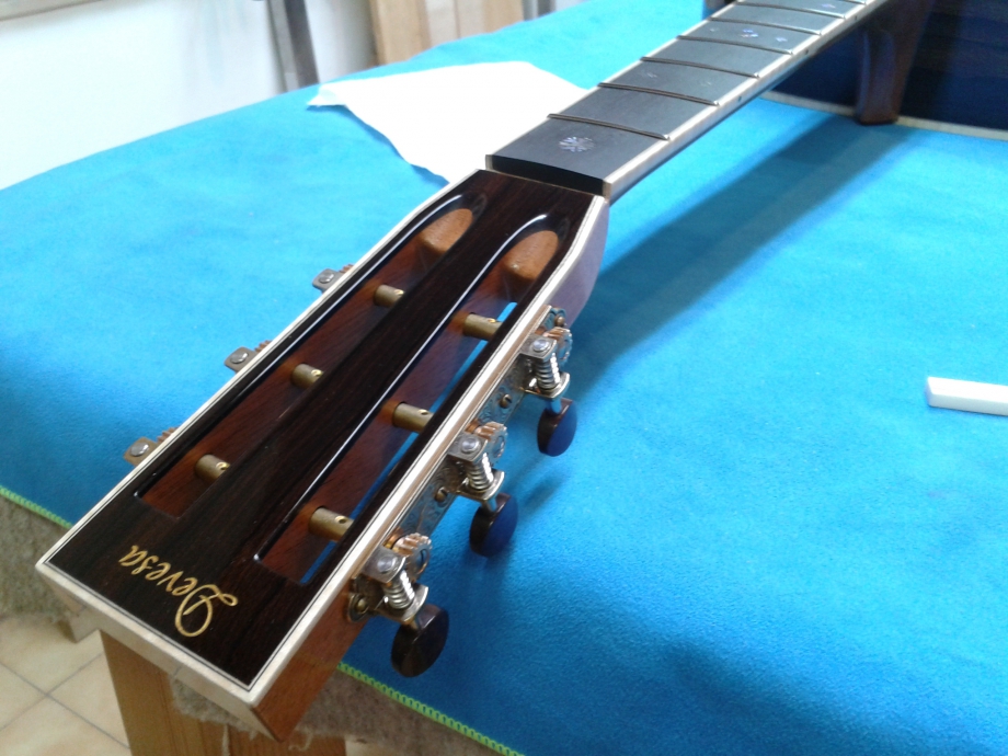 Slothead guitar Devesa.jpg