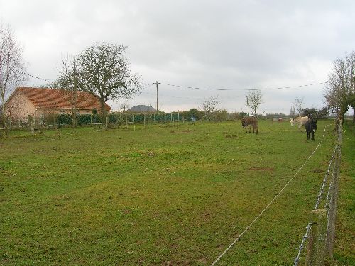 vue en longueur