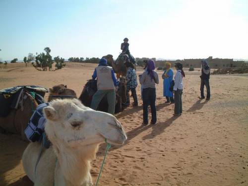 1276638384_100172785_2-Pictures-of--morocco-travel-camel-trek-viaje-por-marueccos-aventura-por-marueccos-merzouga-1276638384.jpg