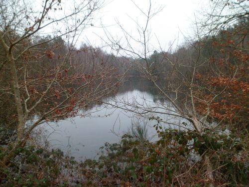 Le lac des armées