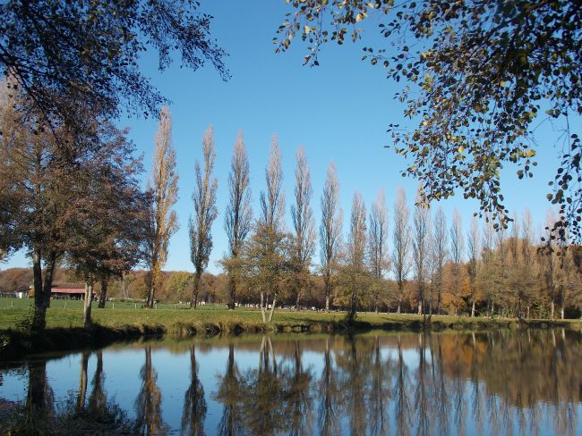 L'étang des Bassineries(1er novembre)
