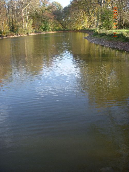 l'étang des Patineaux en automne