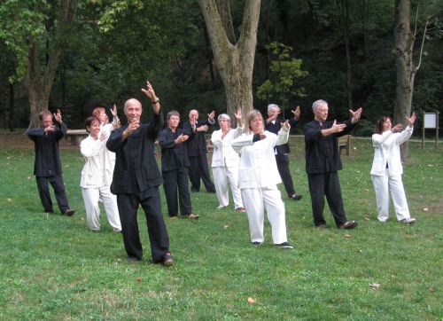 Pratique Tai Chi au Bois des Naix