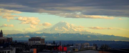 Mont Rainier, Chaine des Cascades, Etat de Washington, Etats - Unis