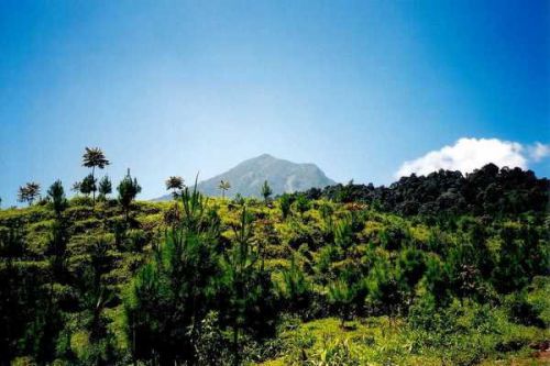 Volcan Salak, île de Java