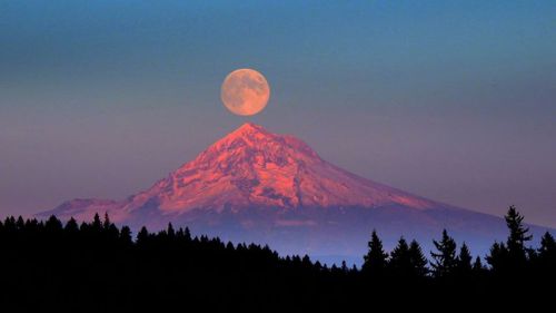 Mont Hood, Chaine des Cascades, Etat de Washington, Etats - Unis