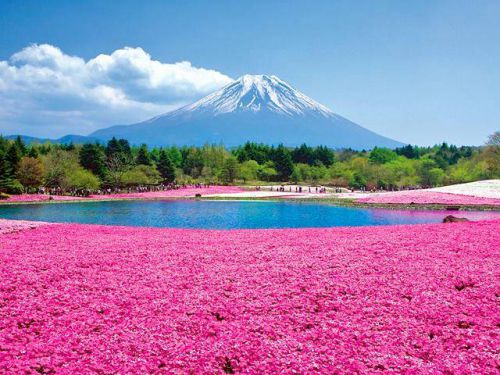 Fuji - Yama, Japon