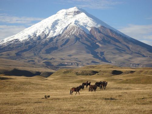 Cotopaxi, Equateur