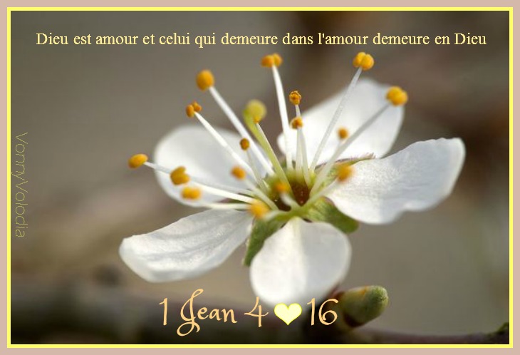 amour-demeure-Dieu.jpg