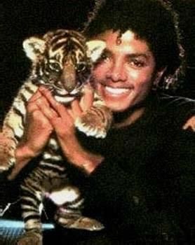 Il adoré les tigres
