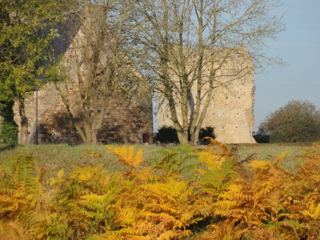 Jolies couleurs d'automne