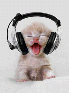 Chat qui écoute de la musique