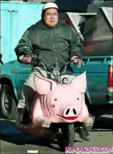 SCOOTER COCHON