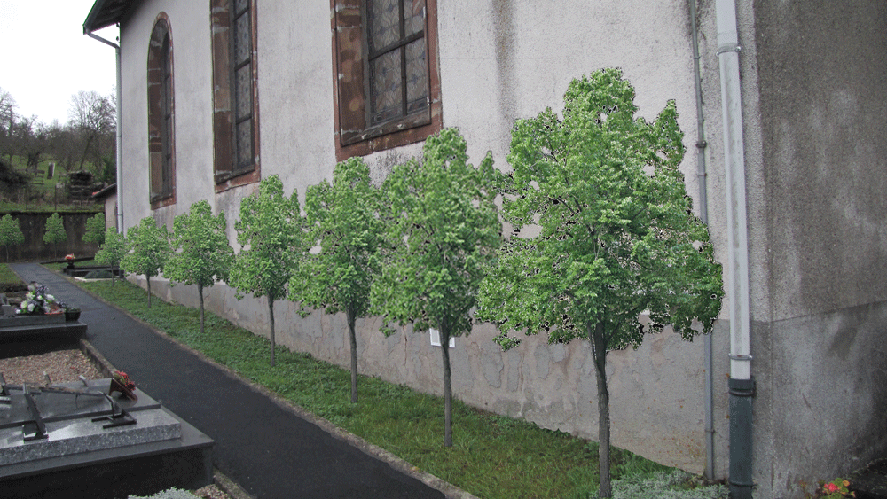 Cimetière-arbres1000.gif