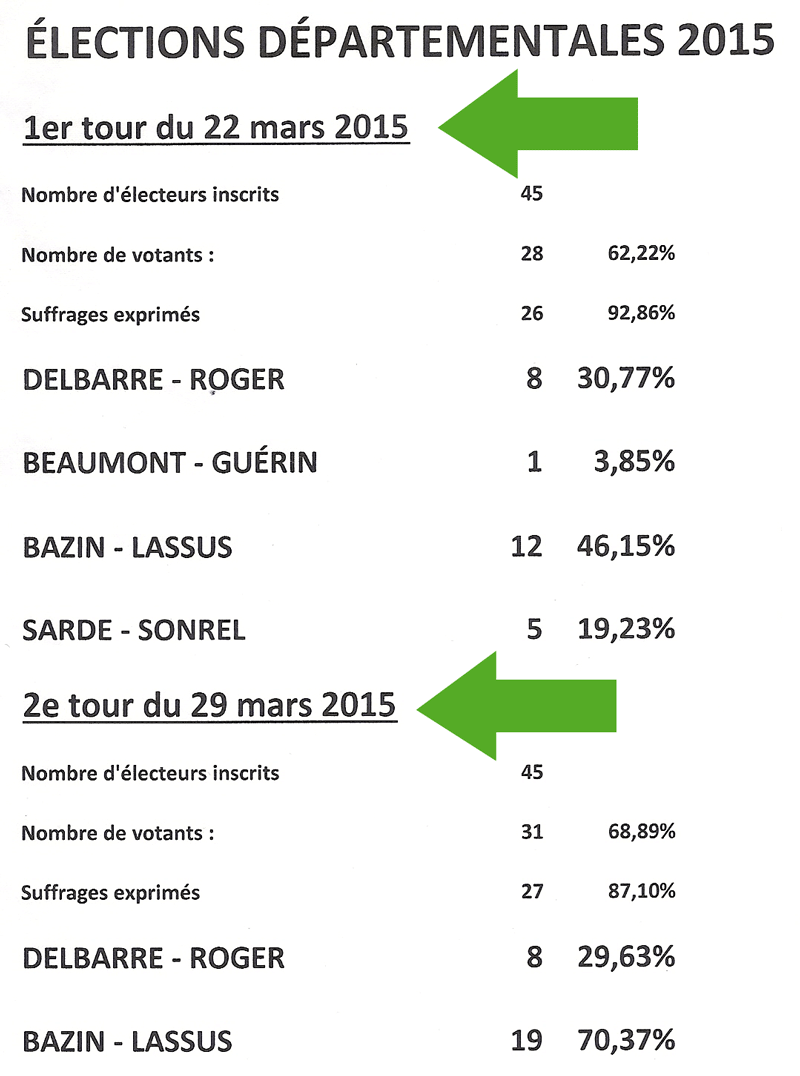 resultats-départementales-2015.gif