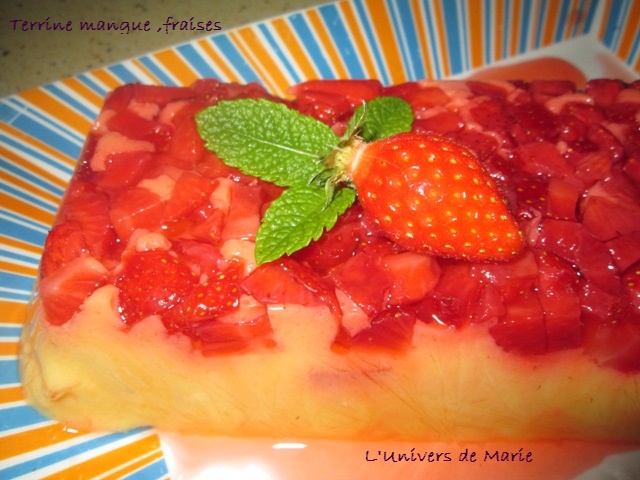 terrine mangue fraise (2).JPG