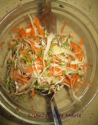 coleslaw fenoui  (1).JPG