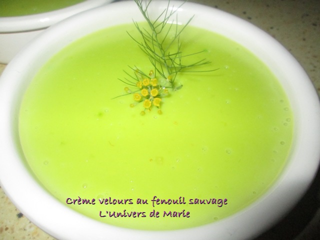 crème fenouil sauvage (2).JPG