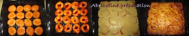 moelleux g abricots (1).JPG