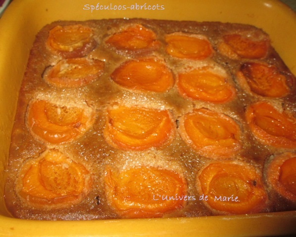 ABRICOTS SPECULOOS (2).JPG