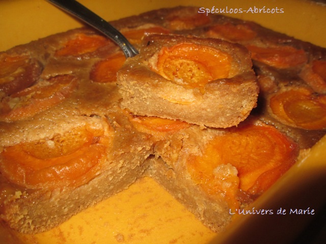 ABRICOTS SPECULOOS (3).JPG