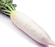 daikon.gif