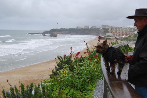 Dune vous présente la grande plage à Biarritz