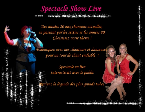 Calliadine blog page présentation spectacle show live version 2014.jpg