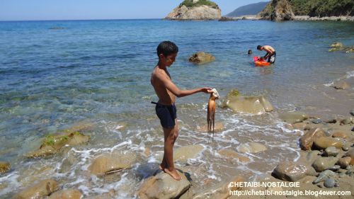 Un enfant  chassant  un  poulpe   au bord de la plage