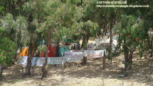 Camping  dans  la  foret  de  la  Baie  Ouest