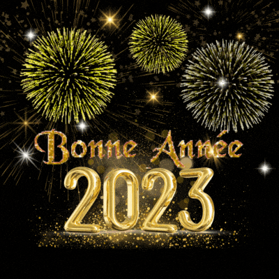 Bonne-Annee-2023-Gif-min.gif