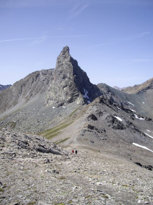 La tête des Toillies