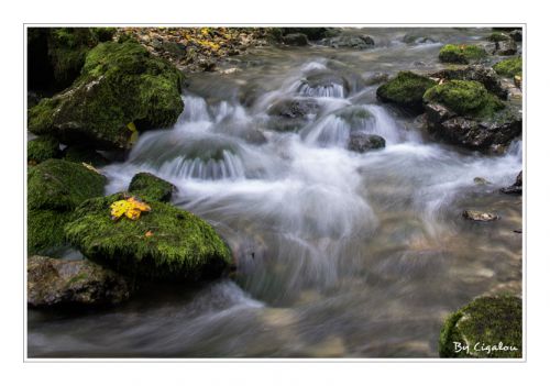 Au loin coule une rivière