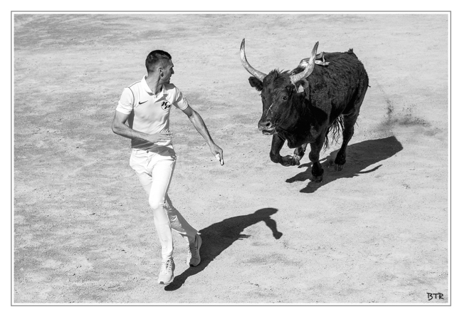 Course Camarguaise Palavas les Flots